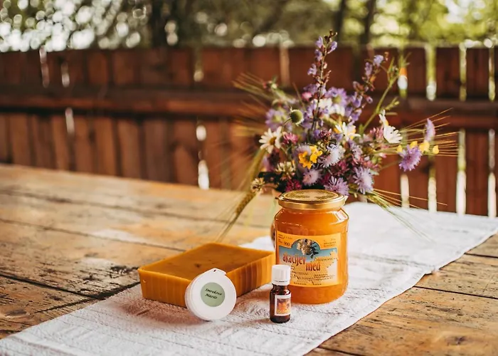 Nočitev z zajtrkom Penzijon Urbanc 3*